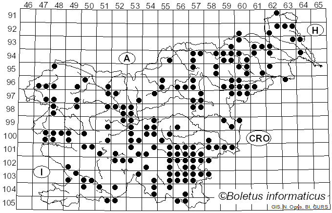 <i>Xylaria polymorpha</i> (Pers.) Grev. (1824)