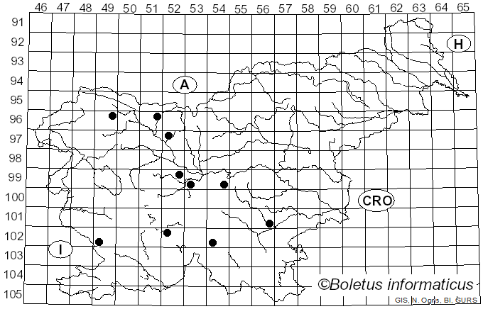 <i>Ramaria flavoides</i> Schild (1981)