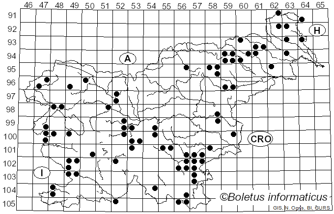 <i>Tricholoma lascivum</i> (Fr.) Gillet (1874)