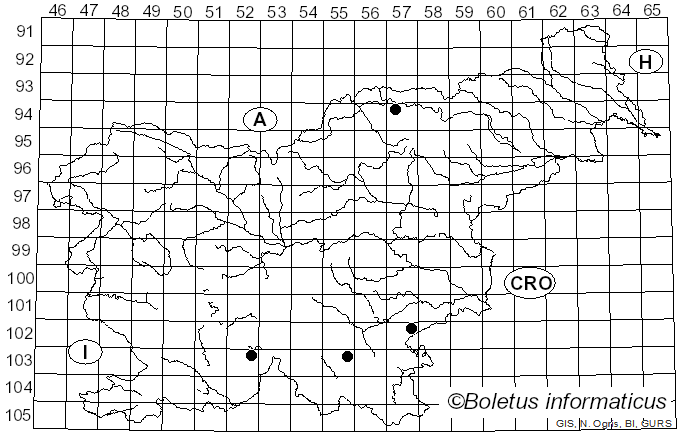 <i>Opegrapha vermicellifera</i> (Kunze) J.R. Laundon (1963)