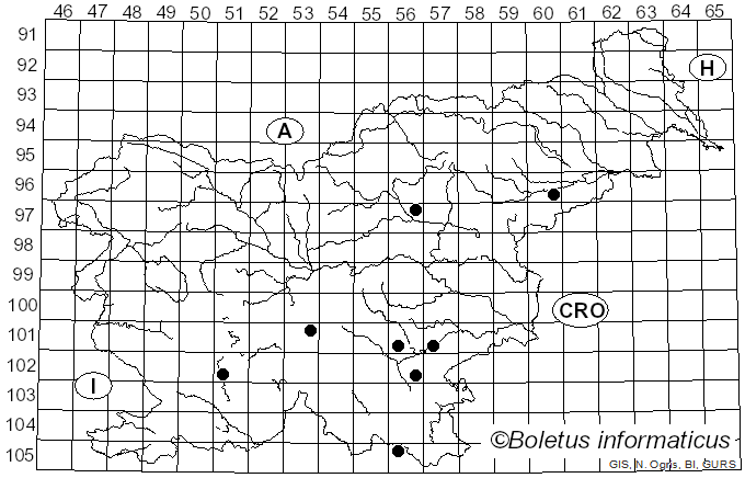 <i>Hydnoporia</i> Murrill (1907)