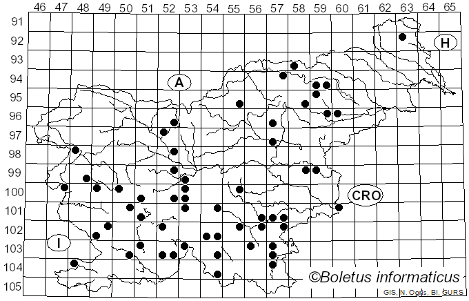 <i>Ganoderma carnosum</i> Pat. (1889)