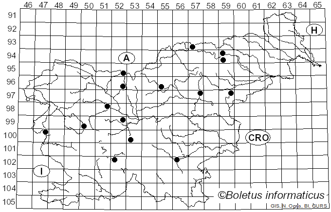 <i>Clitocybula lacerata</i> (Scop.) Métrod (1952)