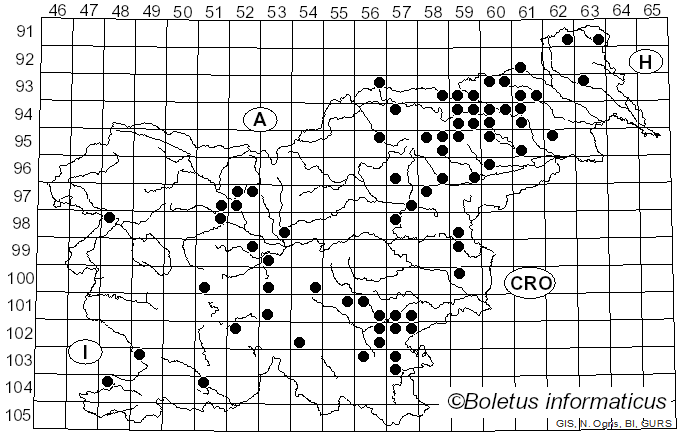 <i>Ramaria fennica</i> (P. Karst.) Ricken (1920)