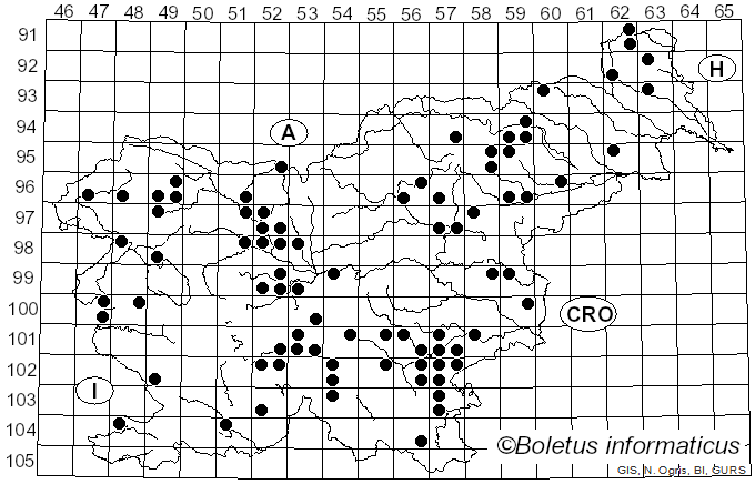 <i>Mycena rosella</i> (Fr.) P. Kumm. (1871)