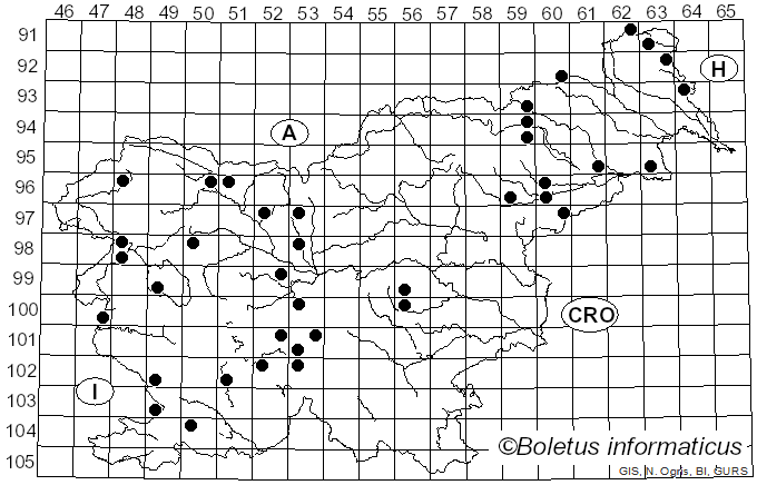 <i>Diatrype stigma</i> (Hoffm.) Fr. (1849)