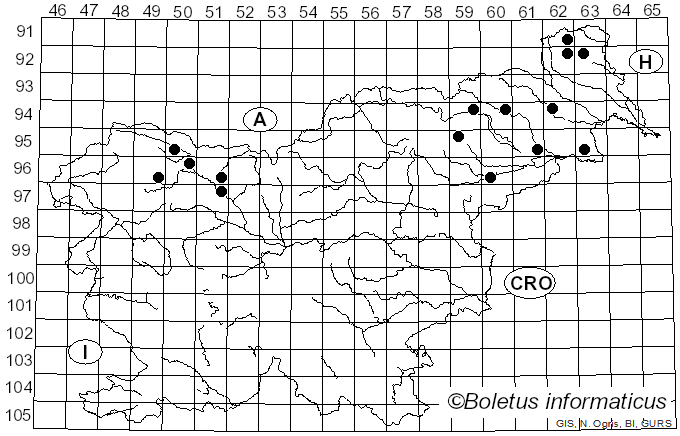 <i>Diatrype decorticata</i> (Pers.) Rappaz (1987)