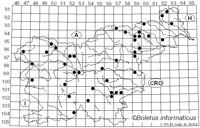 <i>Clitocybe rivulosa</i> (Pers.) P. Kumm. (1871)