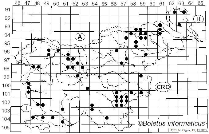 <i>Tephrocybe</i> Donk (1962)
