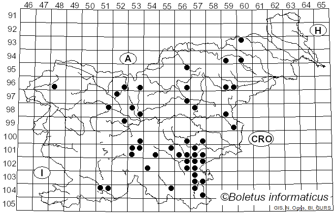 <i>Dendropolyporus</i> (Pouzar) Jülich (1982)
