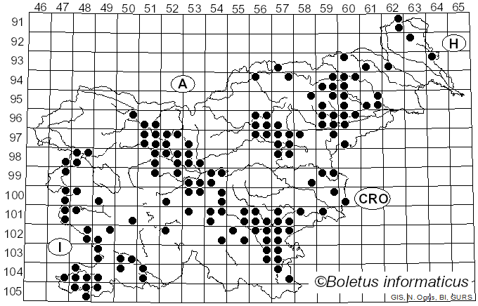 <i>Clathrus</i> P. Micheli ex L. (1753)