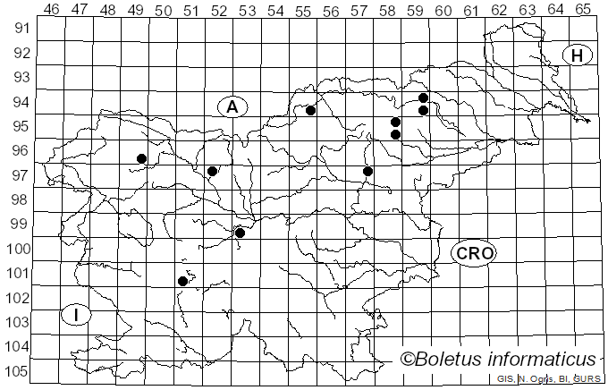 <i>Cortinarius sphagnogenus</i> (M.M. Moser) Nezdojm. (1976)