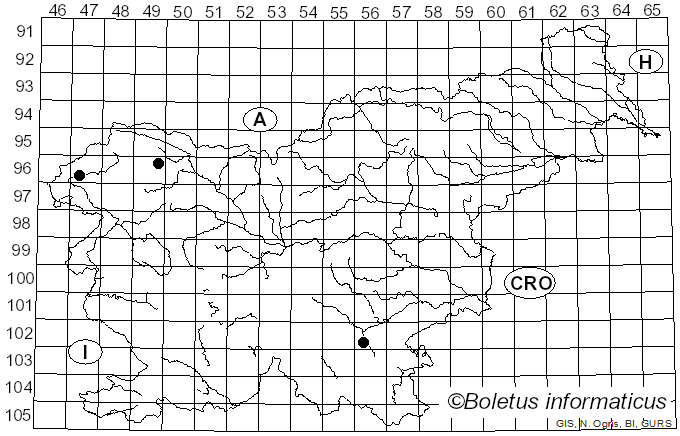 <i>Collema fuscovirens</i> (With.) J.R. Laundon (1984)