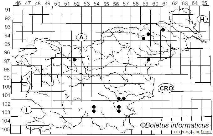 <i>Inocybe oblectabilis</i> (Britzelm.) Sacc. (1882)