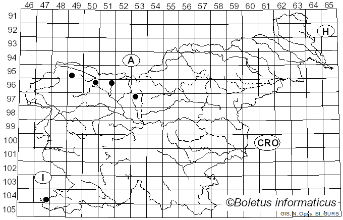 <i>Puccinia teucrii</i> Fuckel