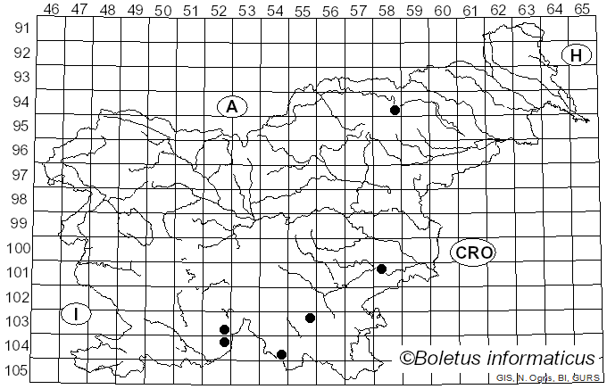 <i>Pyrenula chlorospila</i> (Nyl.) Arnold (1887)