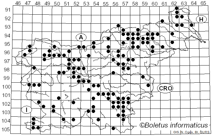 <i>Russula xerampelina</i> (Schaeff.) Fr. (1838)