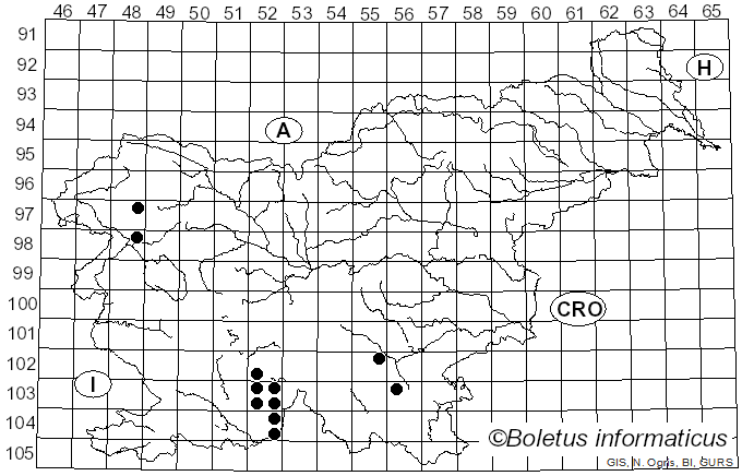 <i>Pertusaria hymenea</i> (Ach.) Schaer. (1836)