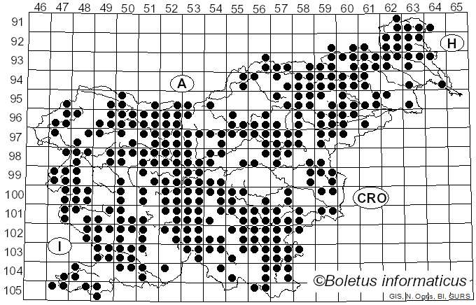 <i>Agaricus</i> L. (1753)