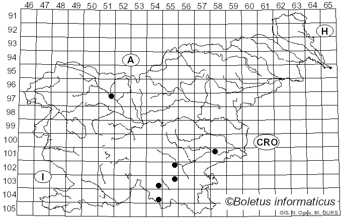 <i>Gloeocystidiellum porosum</i> (Berk. & M.A. Curtis) Donk (1931)