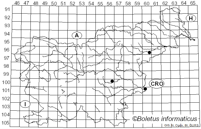 <i>Fomitopsis iberica</i> Melo & Ryvarden (1989)