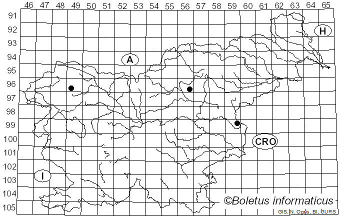 <i>Neohendersonia kickxii</i> (Westend.) B. Sutton & Pollack (1974)