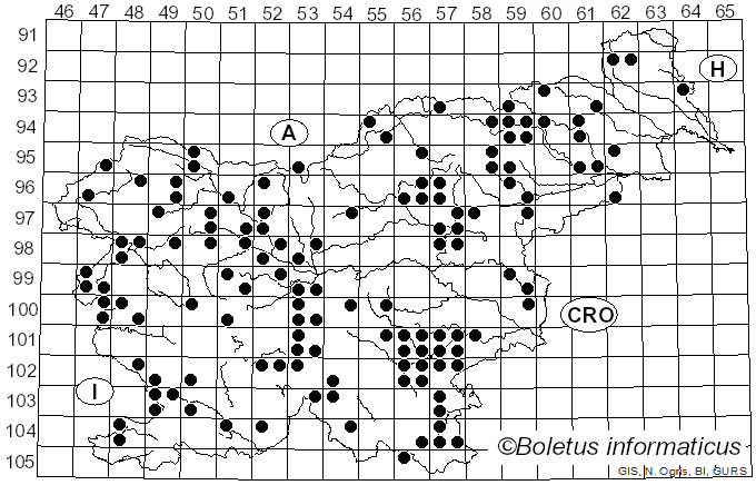 <i>Cortinarius infractus</i> Berk.
