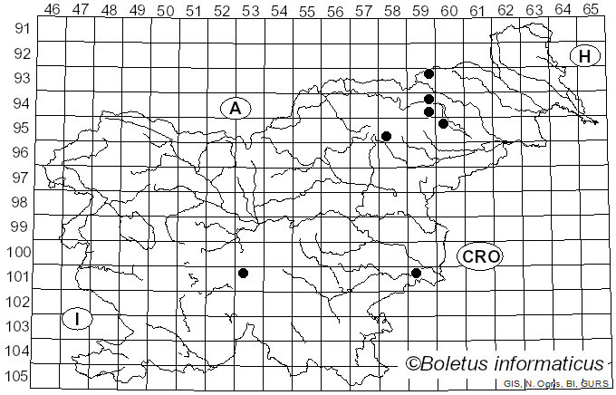<i>Lepiota cristatoides</i> Einhell. (1973)