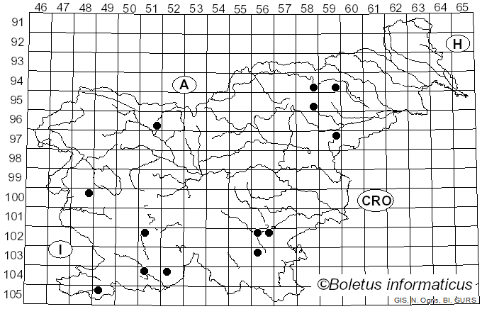 <i>Caloscypha fulgens</i> (Pers.) Boud. (1885)