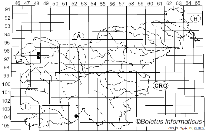 <i>Bacidia bagliettoana</i> (A. Massal. & De Not.) Jatta (1900)