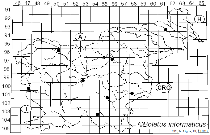 <i>Aleurodiscus disciformis</i> (DC.) Pat. (1894)
