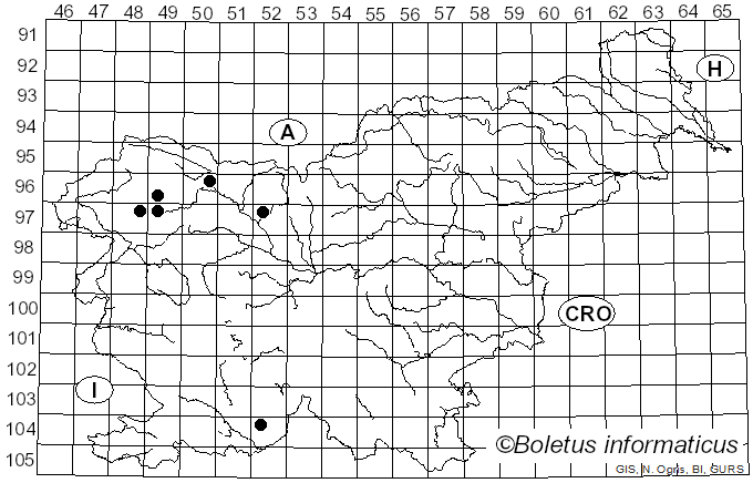 <i>Ramalina pollinaria</i> (Westr.) Ach. (1810)
