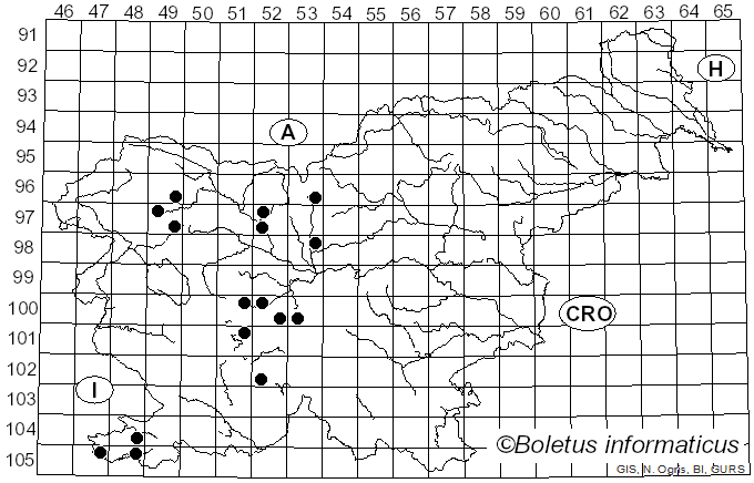 <i>Melanostoma scalare</i> Fabricius (1794)
