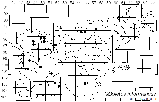 <i>Parmelina tiliacea</i> (Hoffm.) Hale (1974)
