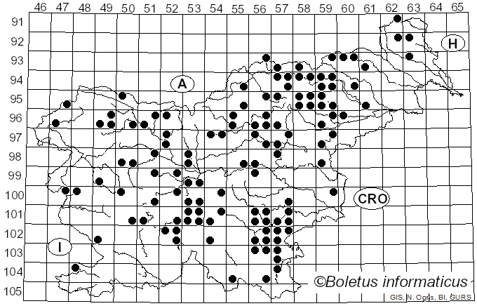 <i>Russula viscida</i> Kudrna (1928)