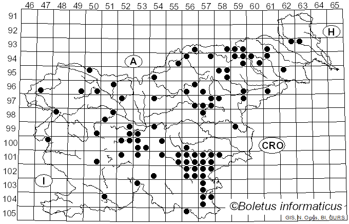 <i>Russula alutacea</i> (Fr.) Fr. (1838)