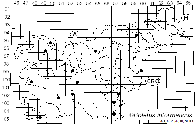 <i>Fuscoporia</i>