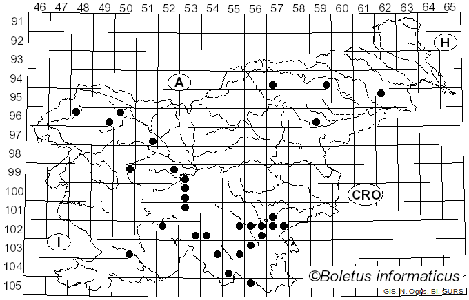 <i>Pycnoporellus fulgens</i> (Fr.) Donk (1971)
