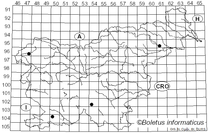 <i>Royoporus</i> A.B. De (1996)