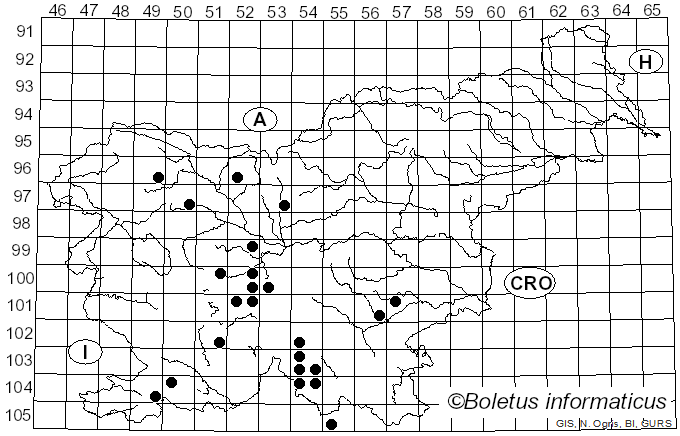 <i>Cheilosia fasciata</i> Schiner & Egger (1853)