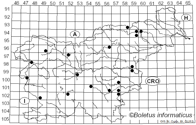 <i>Cortinarius porphyropus</i> (Alb. & Schwein.) Fr. (1838)