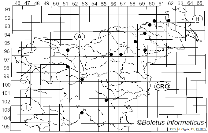 <i>Coprinellus ephemerus</i> (Bull.) Redhead, Vilgalys & Moncalvo (2001)