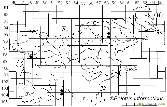<i>Sarea difformis</i> (Fr.) Fr. (1828)