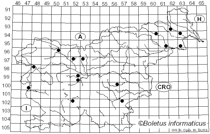 <i>Melogramma campylosporum</i> Fr. (1849)