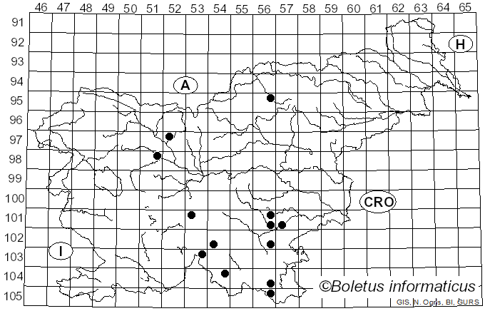 <i>Ramaria obtusissima</i> (Peck) Corner (1950)