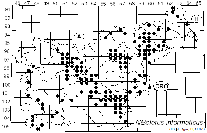 <i>Clathrus archeri</i> (Berk.) Dring (1980)