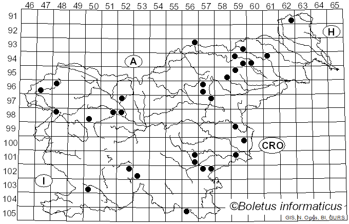 <i>Lycoperdon lividum</i> Pers. (1809)