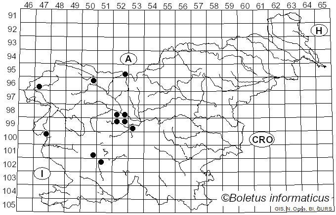 <i>Anthracoidea caricis</i> (Pers.) Bref. (1896)