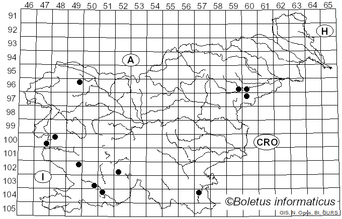 <i>Lachnellula willkommii</i> (Hartig) Dennis (1962)
