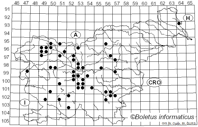 <i>Sarcosphaera coronaria</i> (Jacq.) Boud. (1893)